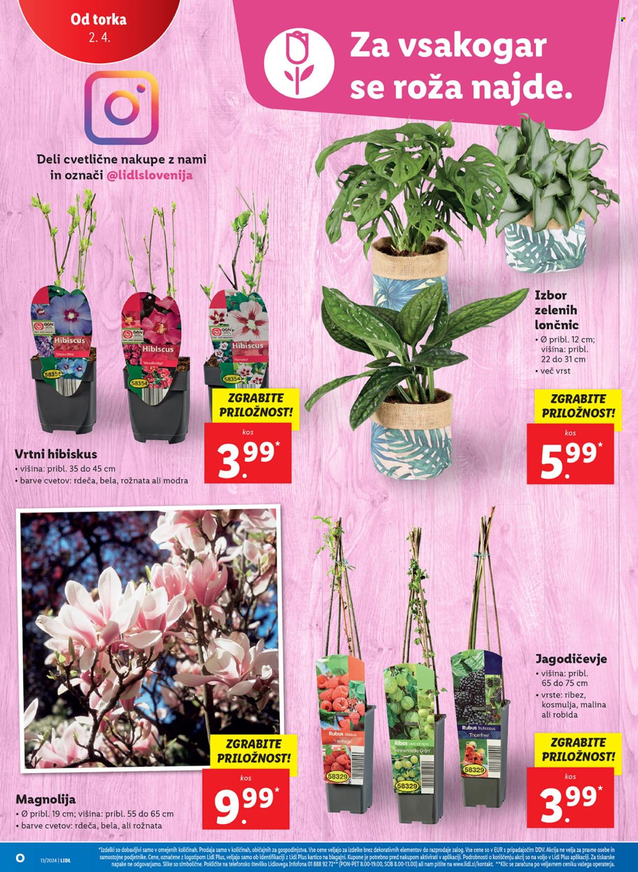 Lidl katalog - 28.3.2024 - 3.4.2024. Stran 28