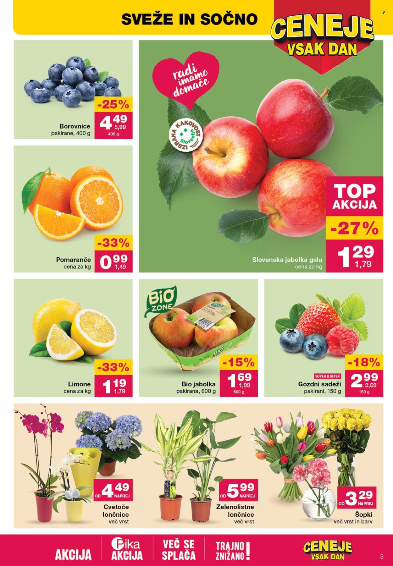 Mercator katalog - 28.3.2024 - 3.4.2024. Stran 3