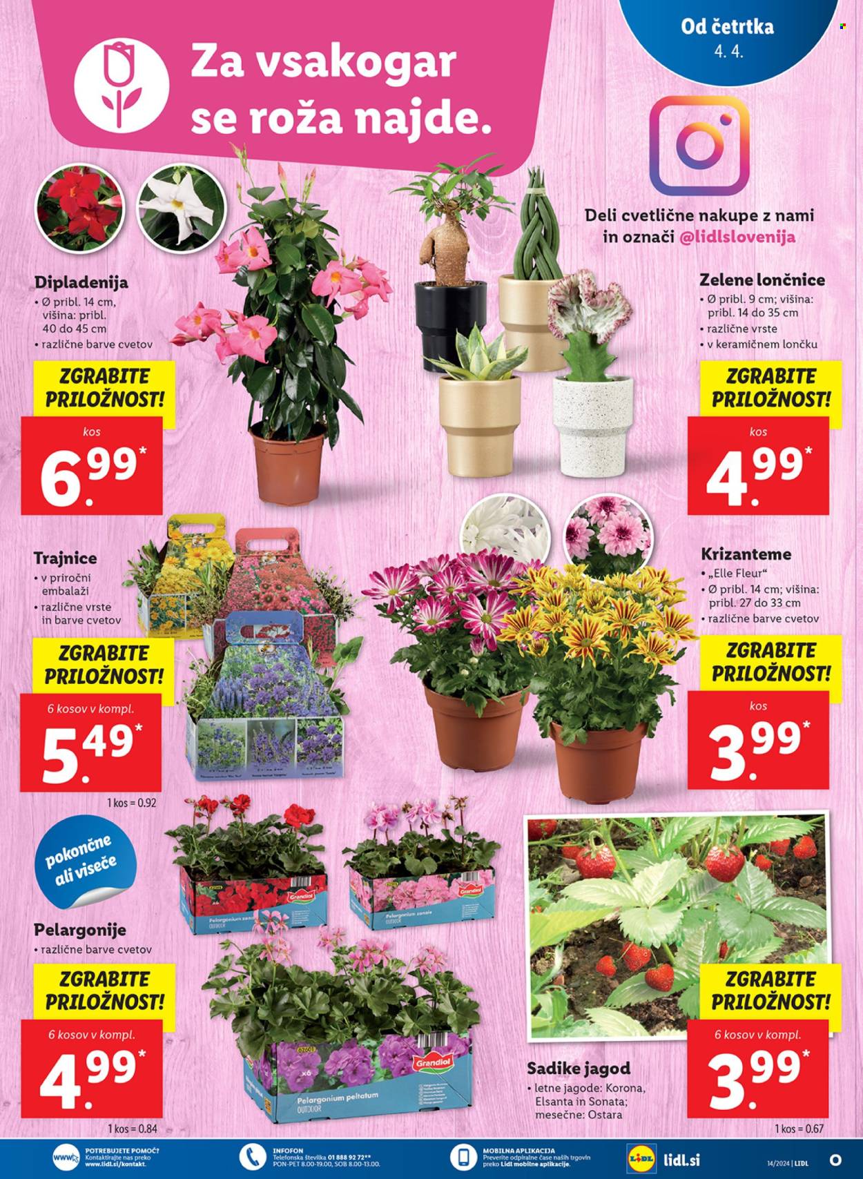 Lidl katalog - 4.4.2024 - 10.4.2024. Stran 7