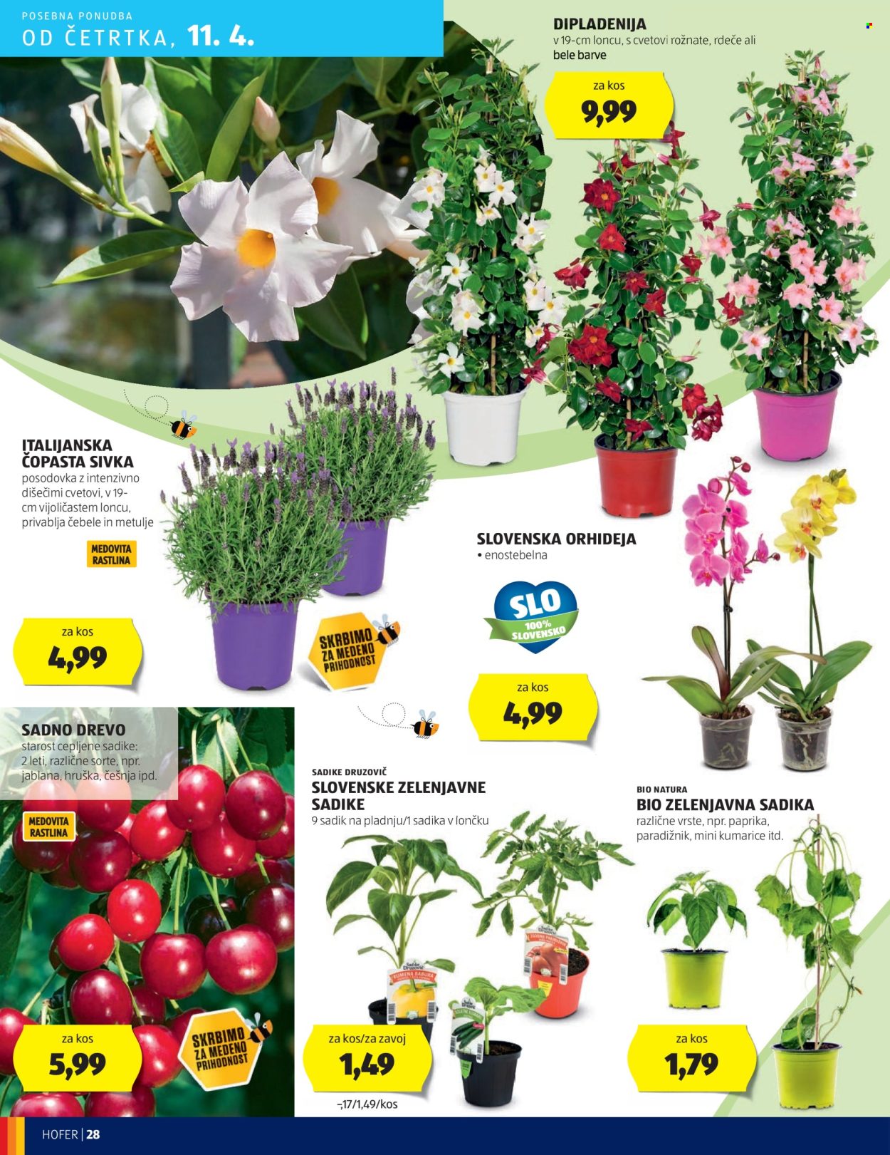 Hofer katalog - 4.4.2024 - 13.4.2024. Stran 28