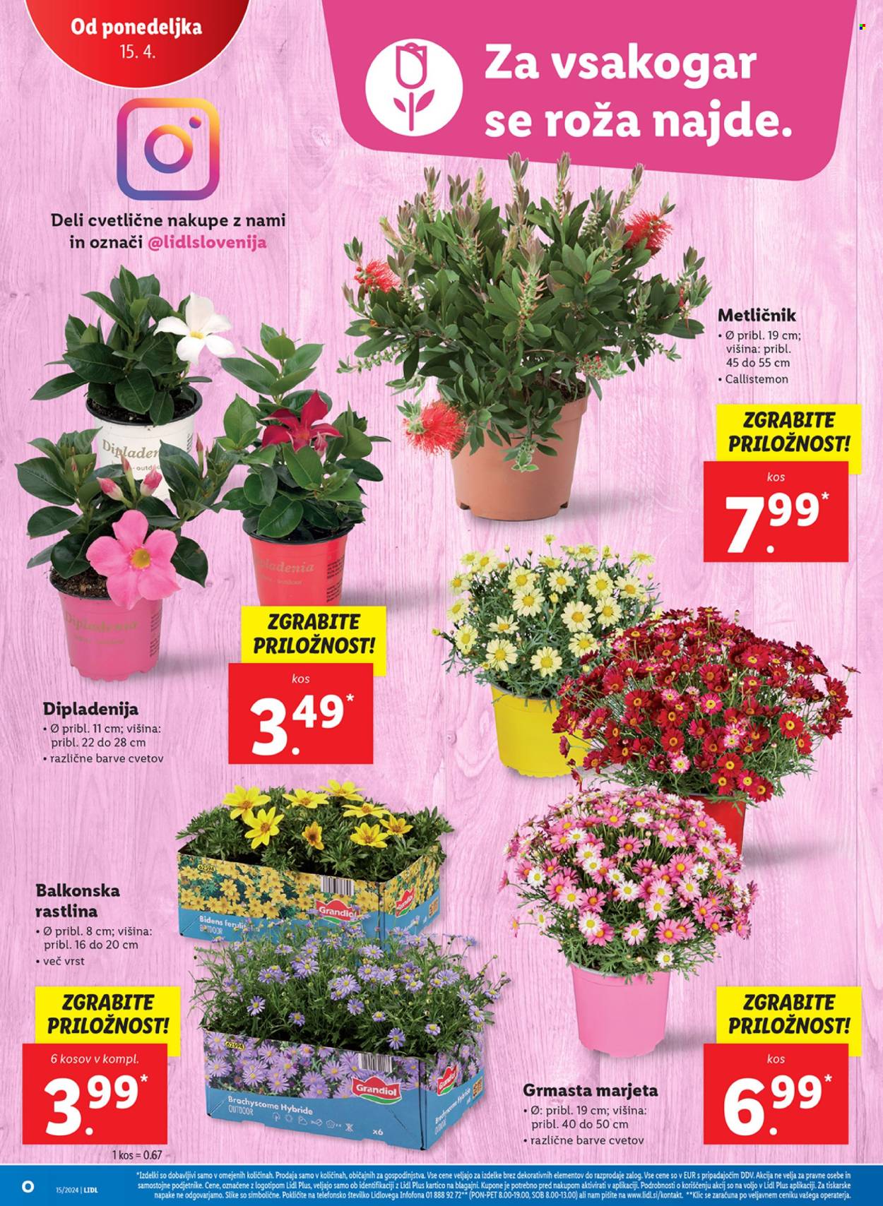 Lidl katalog - 11.4.2024 - 17.4.2024. Stran 34