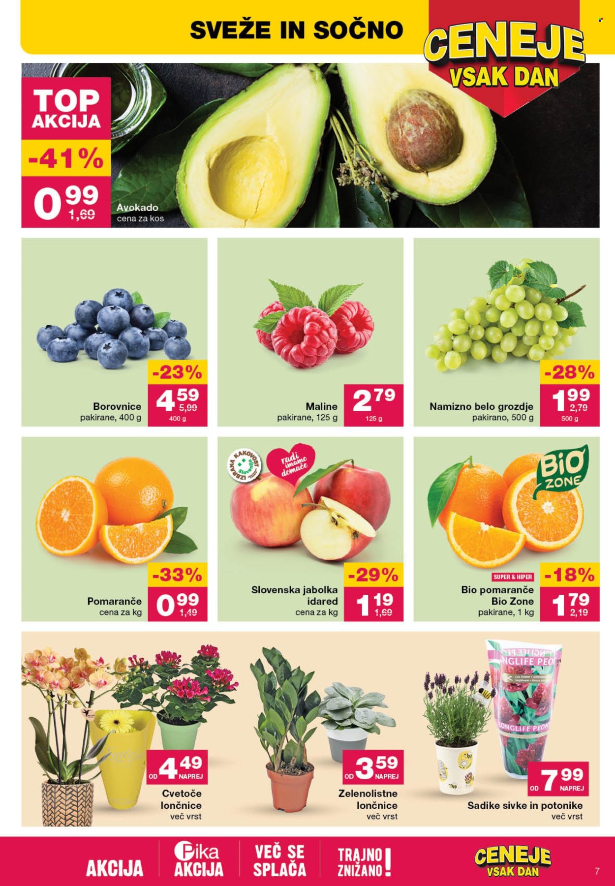 Mercator katalog - 11.4.2024 - 17.4.2024. Stran 7