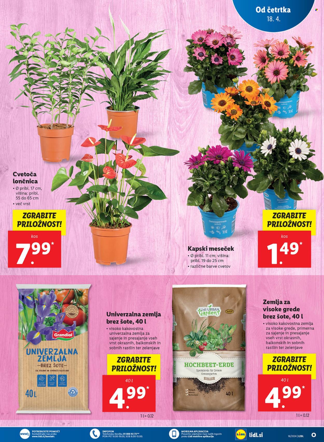 Lidl katalog - 18.4.2024 - 24.4.2024. Stran 17