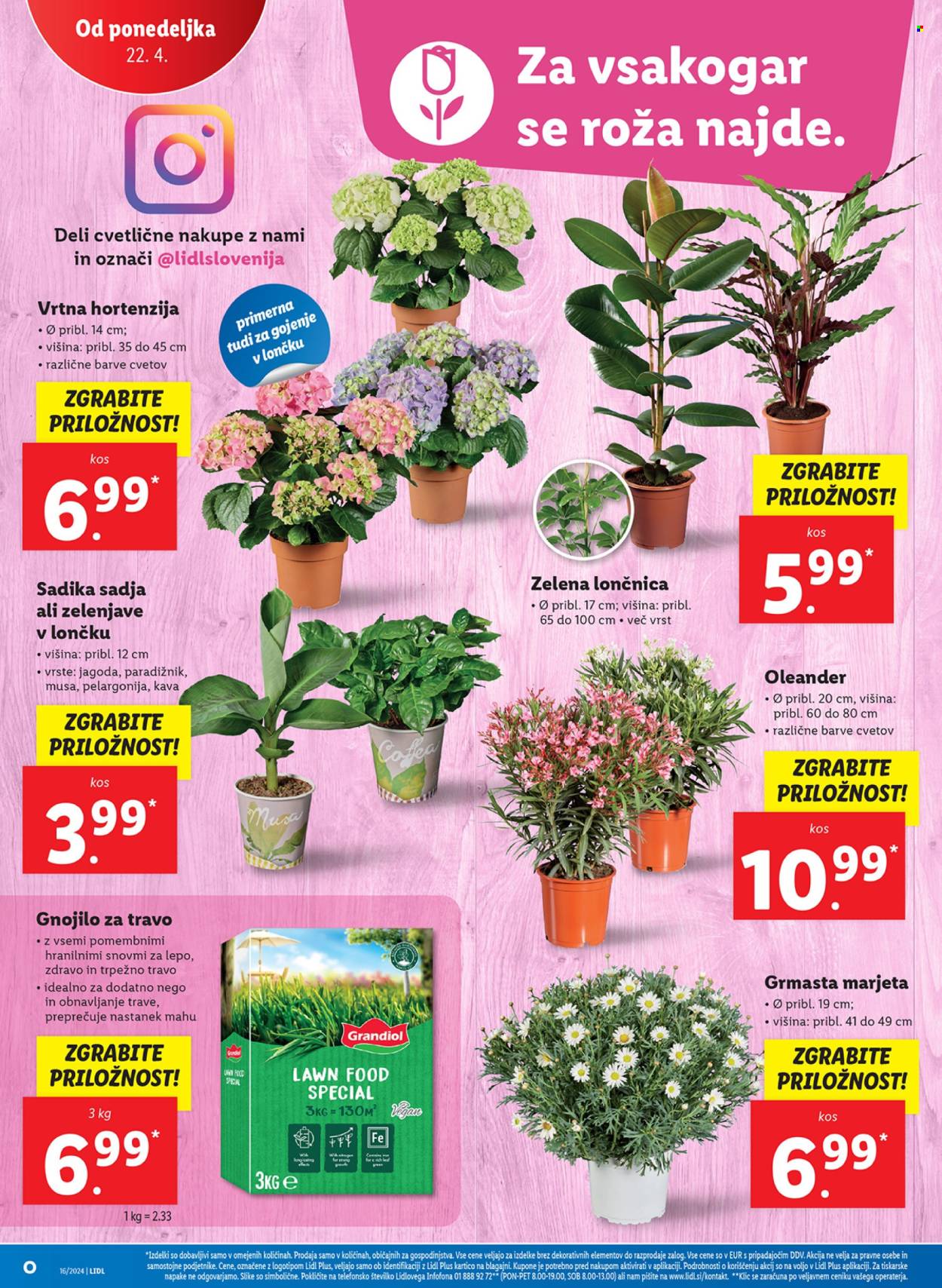 Lidl katalog - 18.4.2024 - 24.4.2024. Stran 44