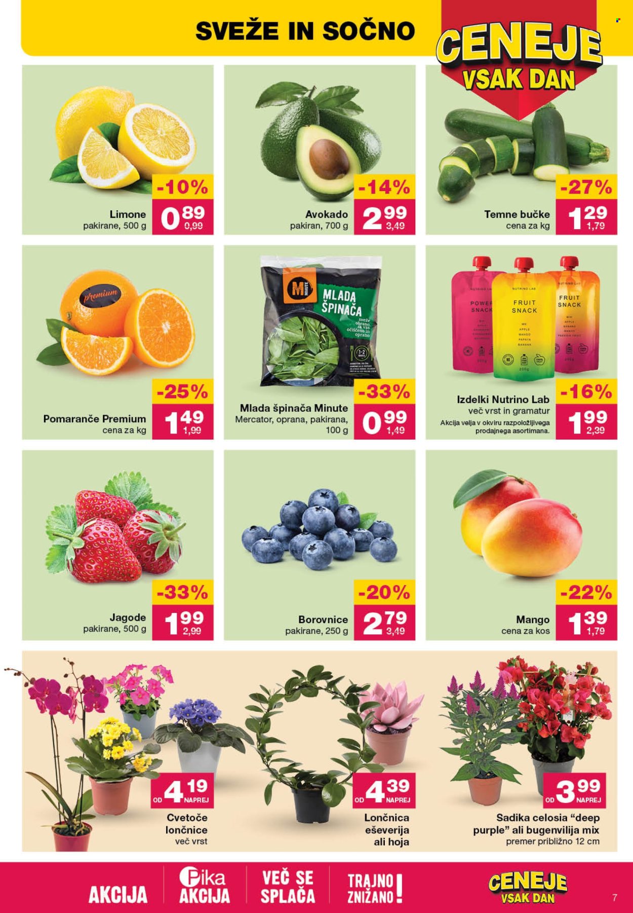 Mercator katalog - 18.4.2024 - 24.4.2024. Stran 7