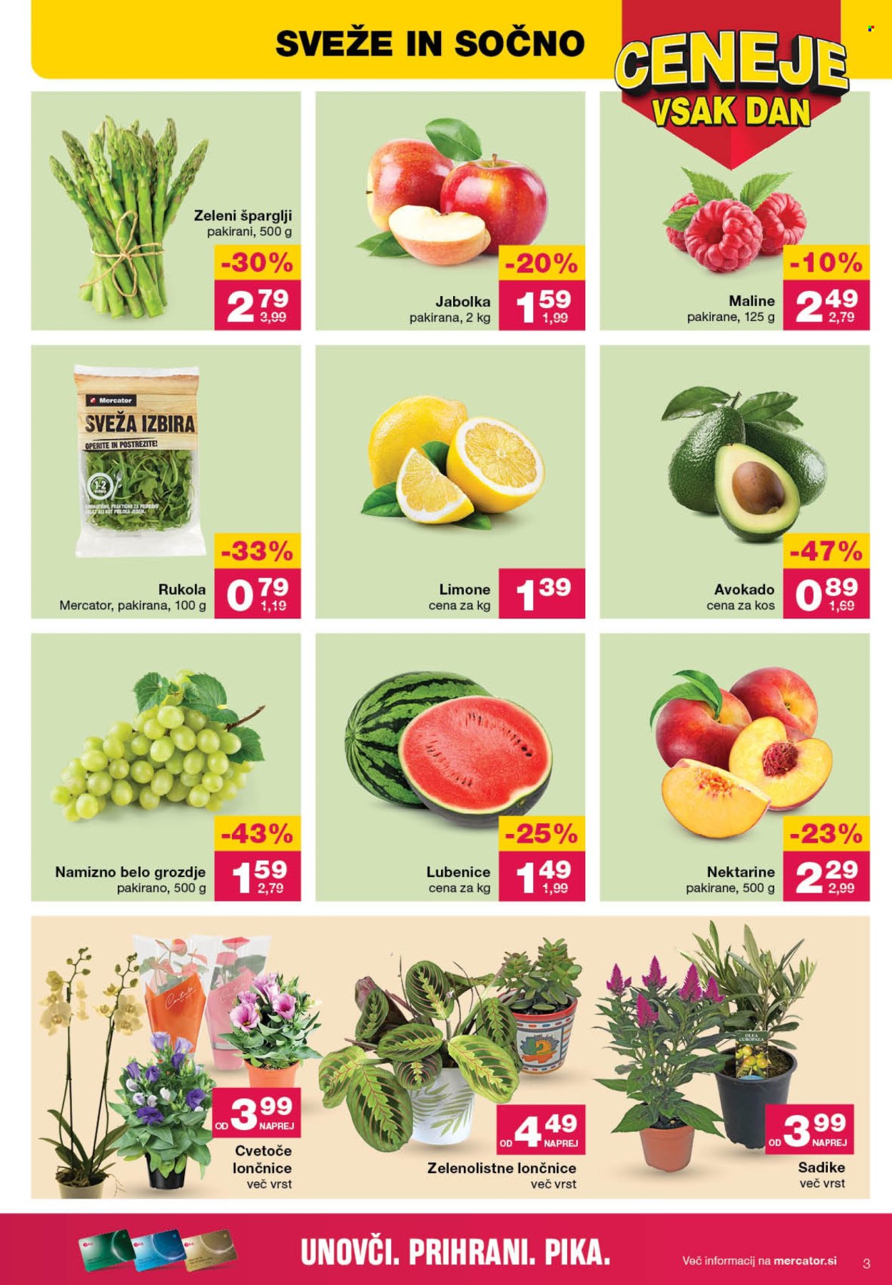 Mercator katalog - 25.4.2024 - 8.5.2024. Stran 3