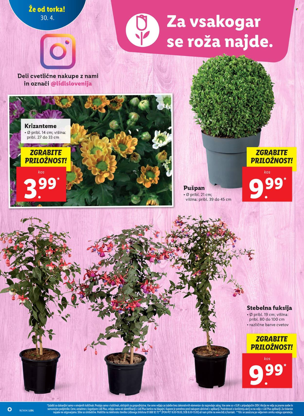 Lidl katalog - 30.4.2024 - 8.5.2024. Stran 8