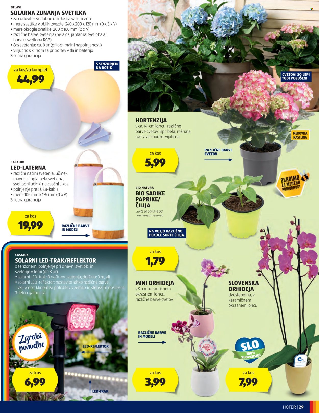 Hofer katalog - 30.4.2024 - 11.5.2024. Stran 29