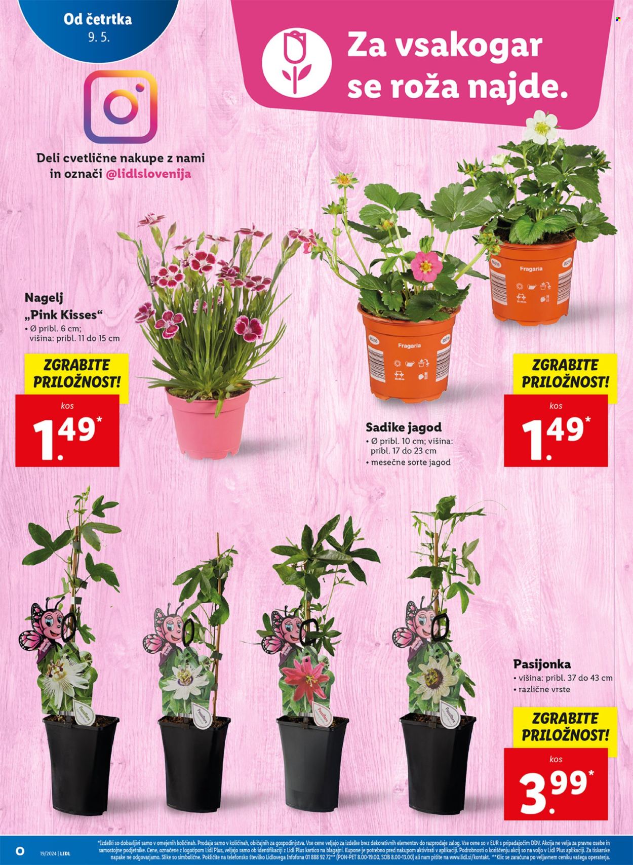 Lidl katalog - 9.5.2024 - 15.5.2024. Stran 6