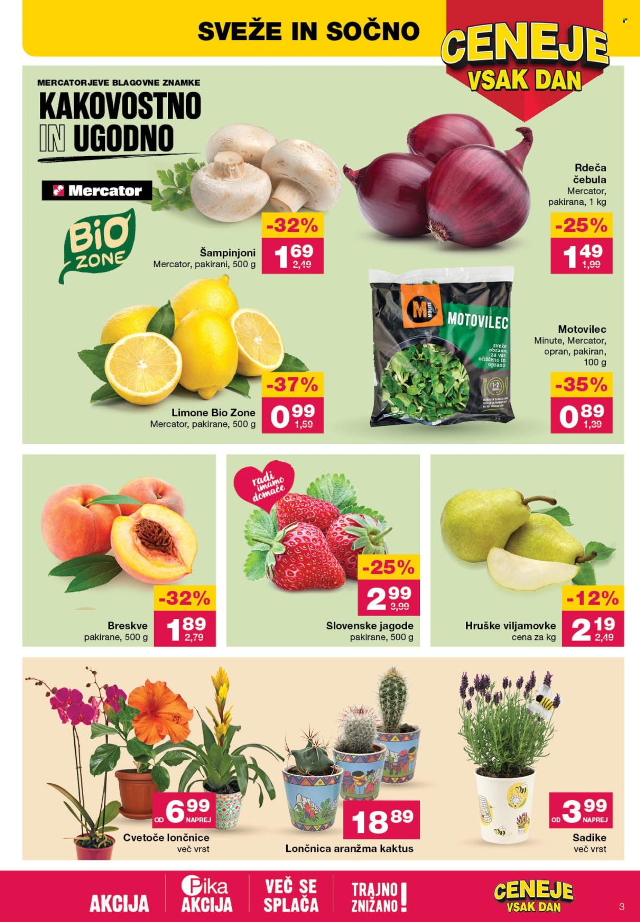 Mercator katalog - 9.5.2024 - 15.5.2024. Stran 3