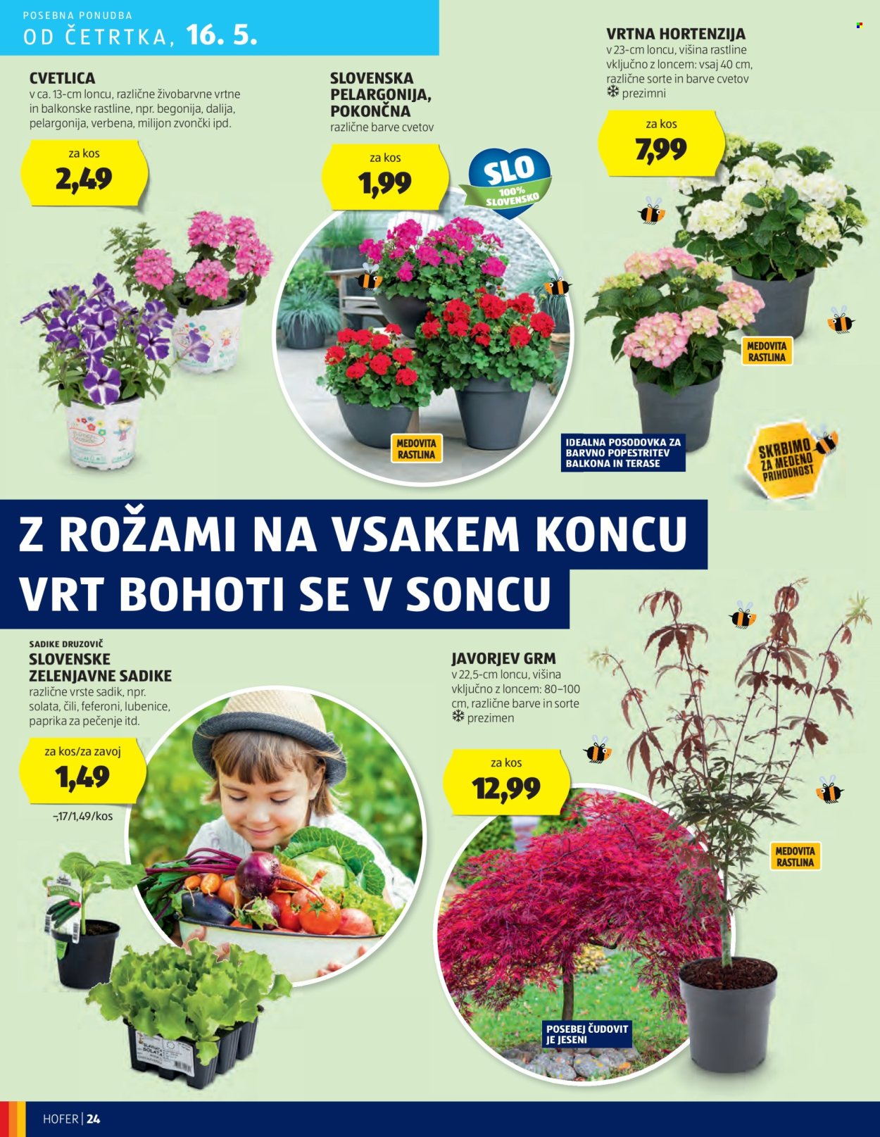 Hofer katalog - 9.5.2024 - 18.5.2024. Stran 24
