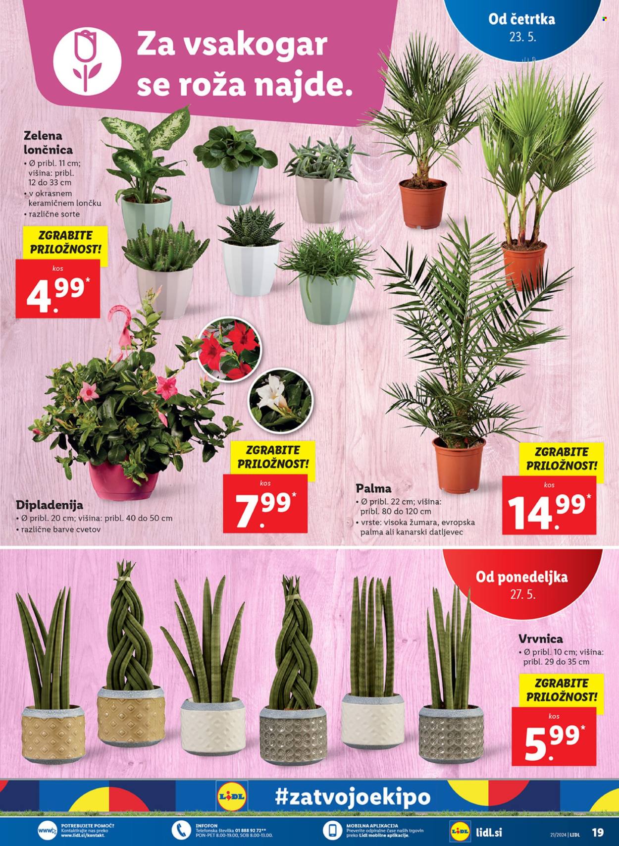 Lidl katalog - 23.5.2024 - 29.5.2024. Stran 27