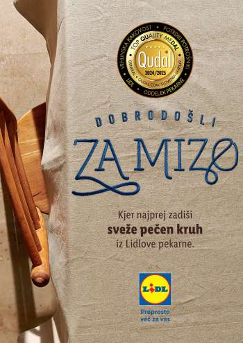 Lidl katalog.