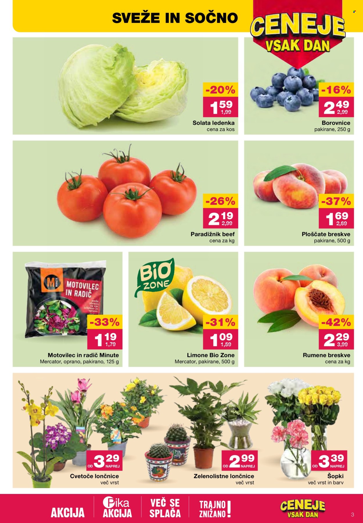 Mercator katalog - 30.5.2024 - 5.6.2024. Stran 3