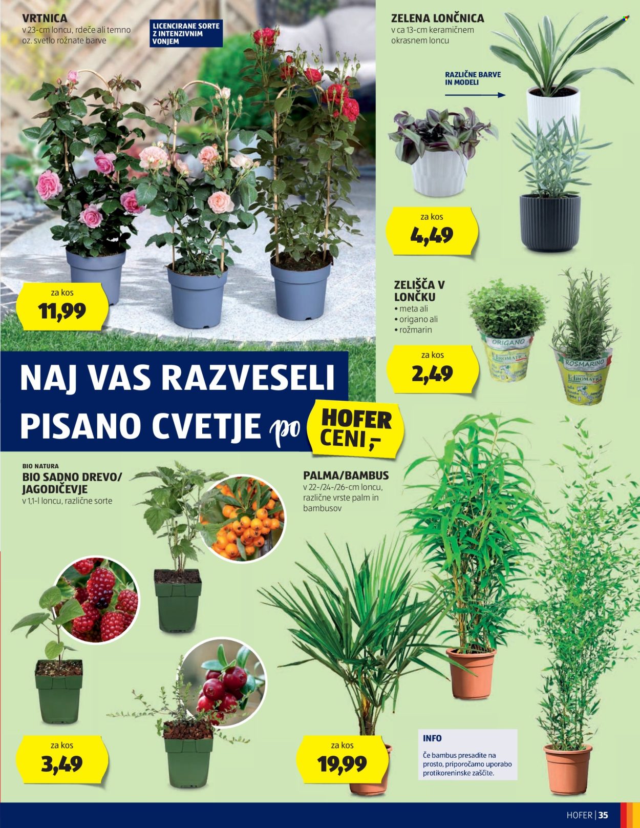 Hofer katalog - 30.5.2024 - 8.6.2024. Stran 35
