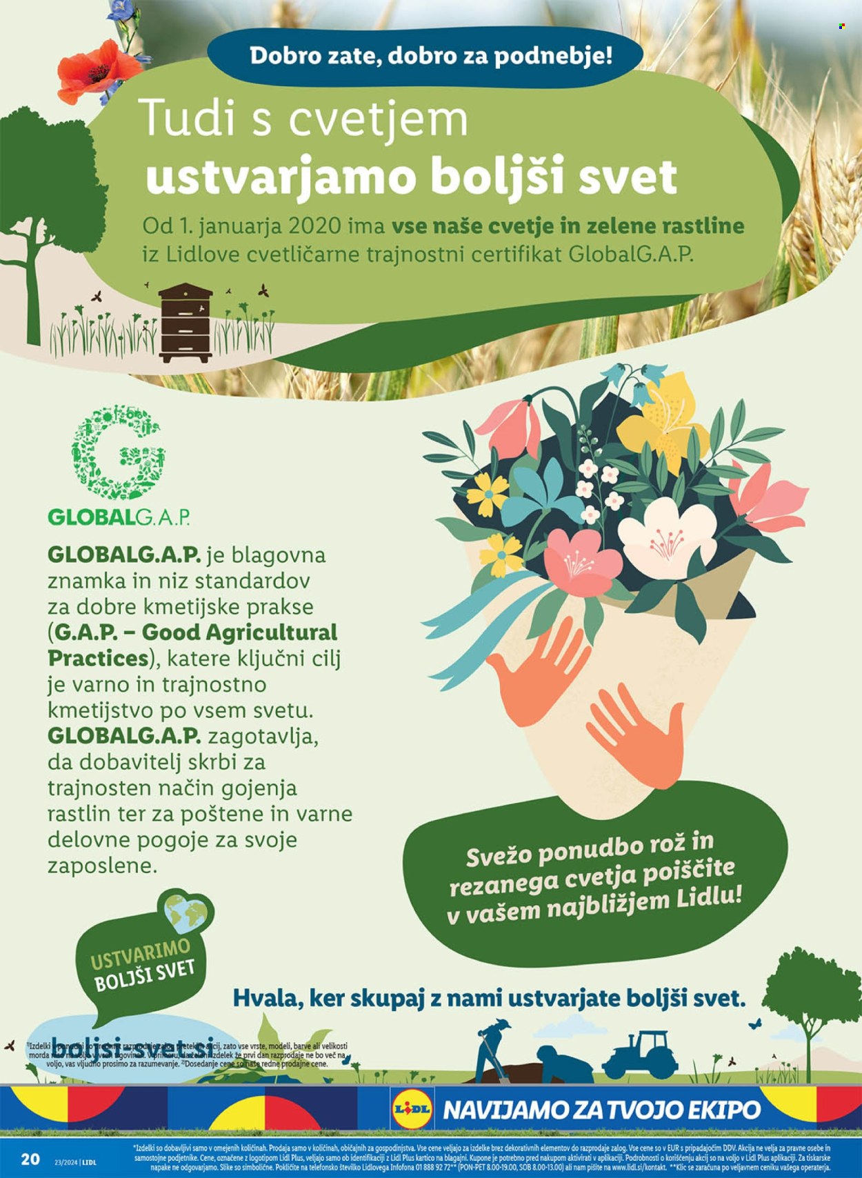 Lidl katalog - 6.6.2024 - 12.6.2024. Stran 36