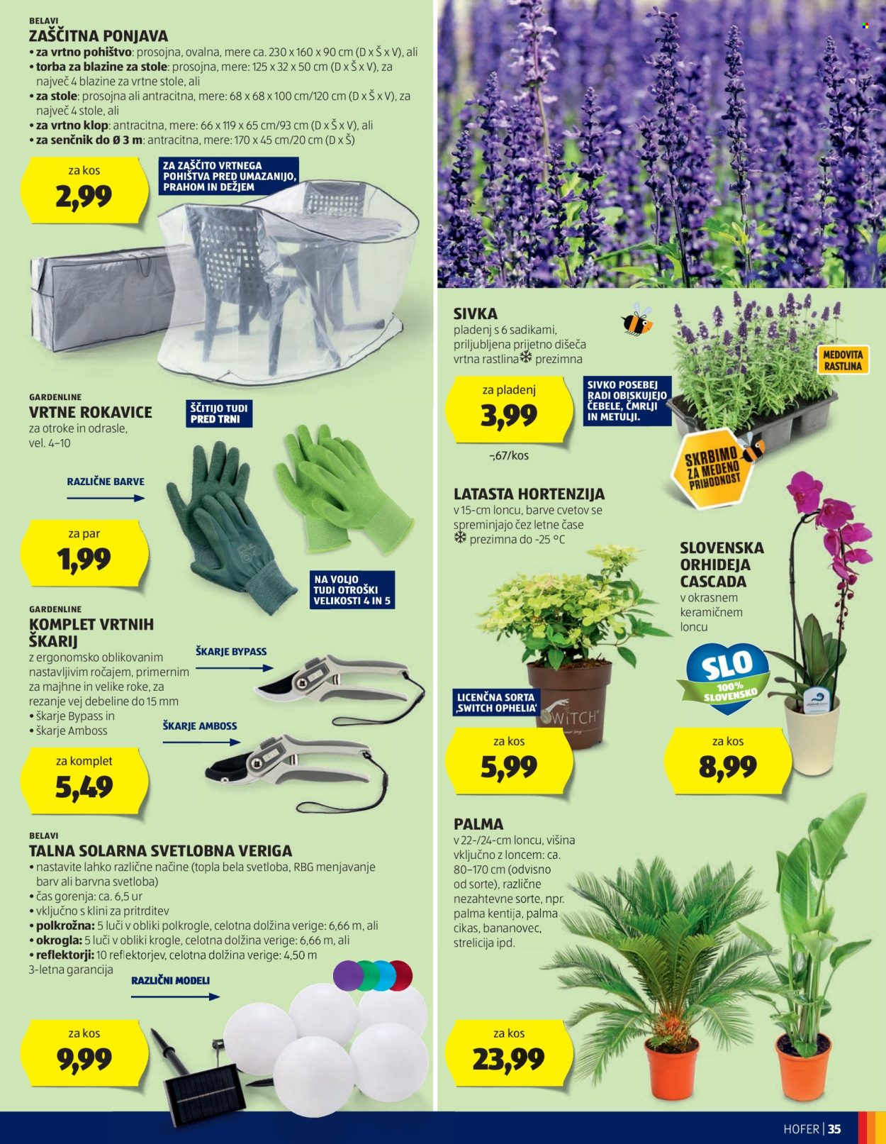 Hofer katalog - 6.6.2024 - 15.6.2024. Stran 35