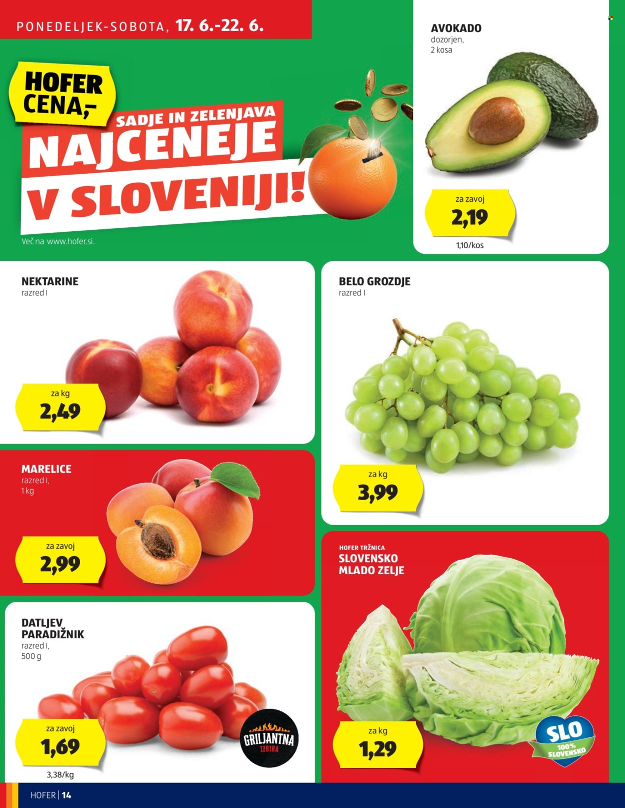 Hofer katalog - 13.6.2024 - 22.6.2024. Stran 14