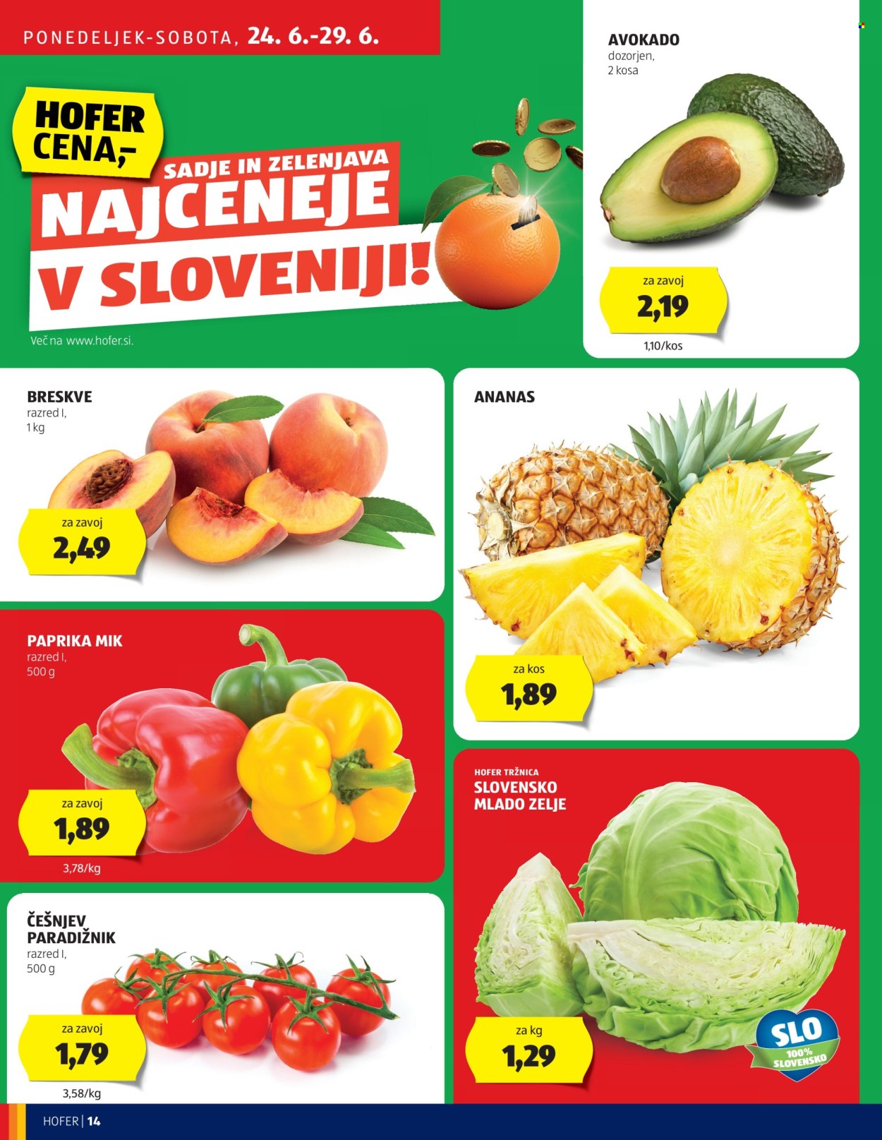 Hofer katalog - 20.6.2024 - 29.6.2024. Stran 14