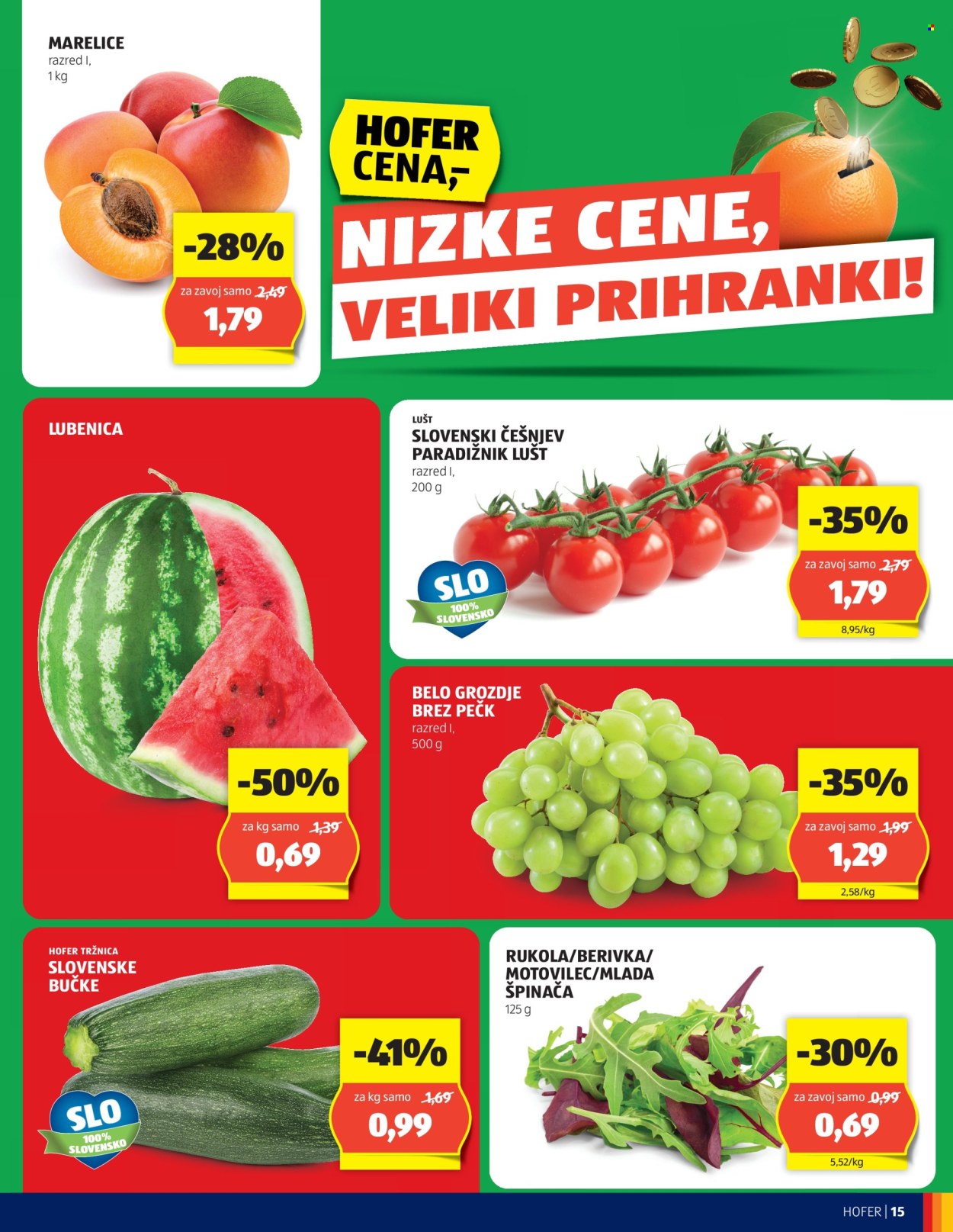 Hofer katalog - 20.6.2024 - 29.6.2024. Stran 15