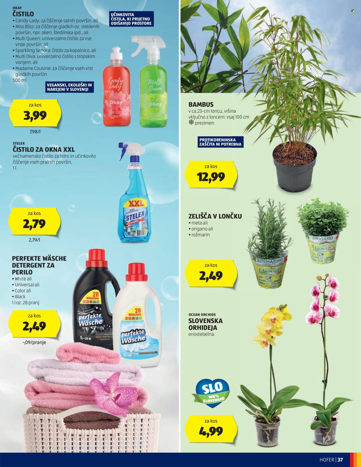 Hofer katalog - 27.6.2024 - 6.7.2024. Stran 37