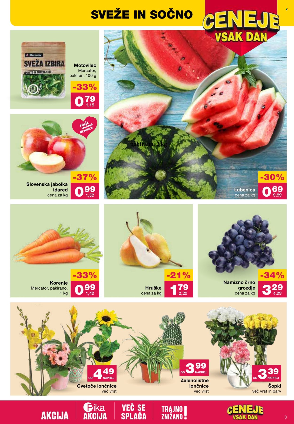Mercator katalog - 4.7.2024 - 10.7.2024. Stran 3