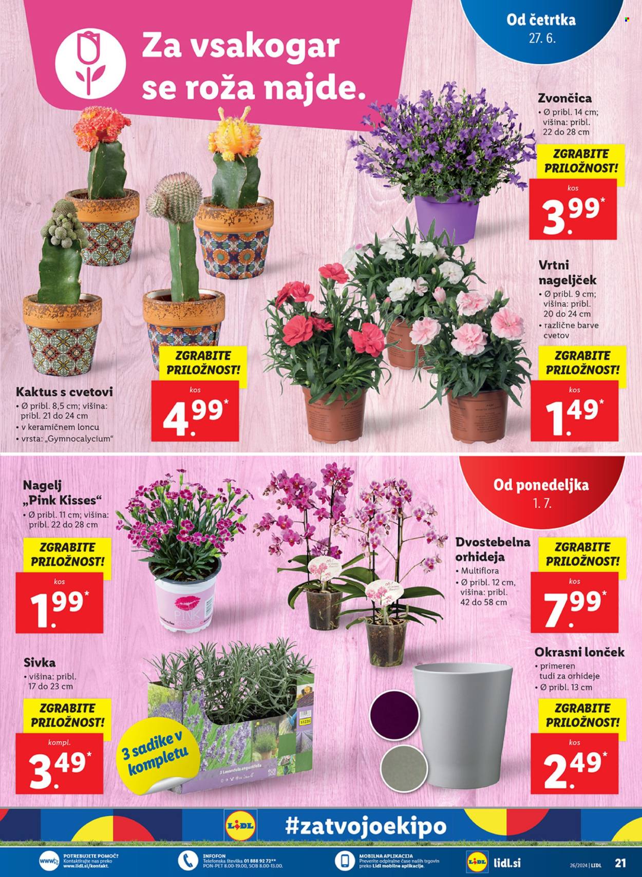 Lidl katalog - 27.6.2024 - 7.7.2024. Stran 43
