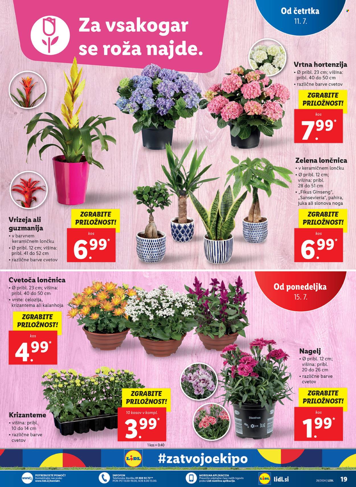 Lidl katalog - 11.7.2024 - 17.7.2024. Stran 43