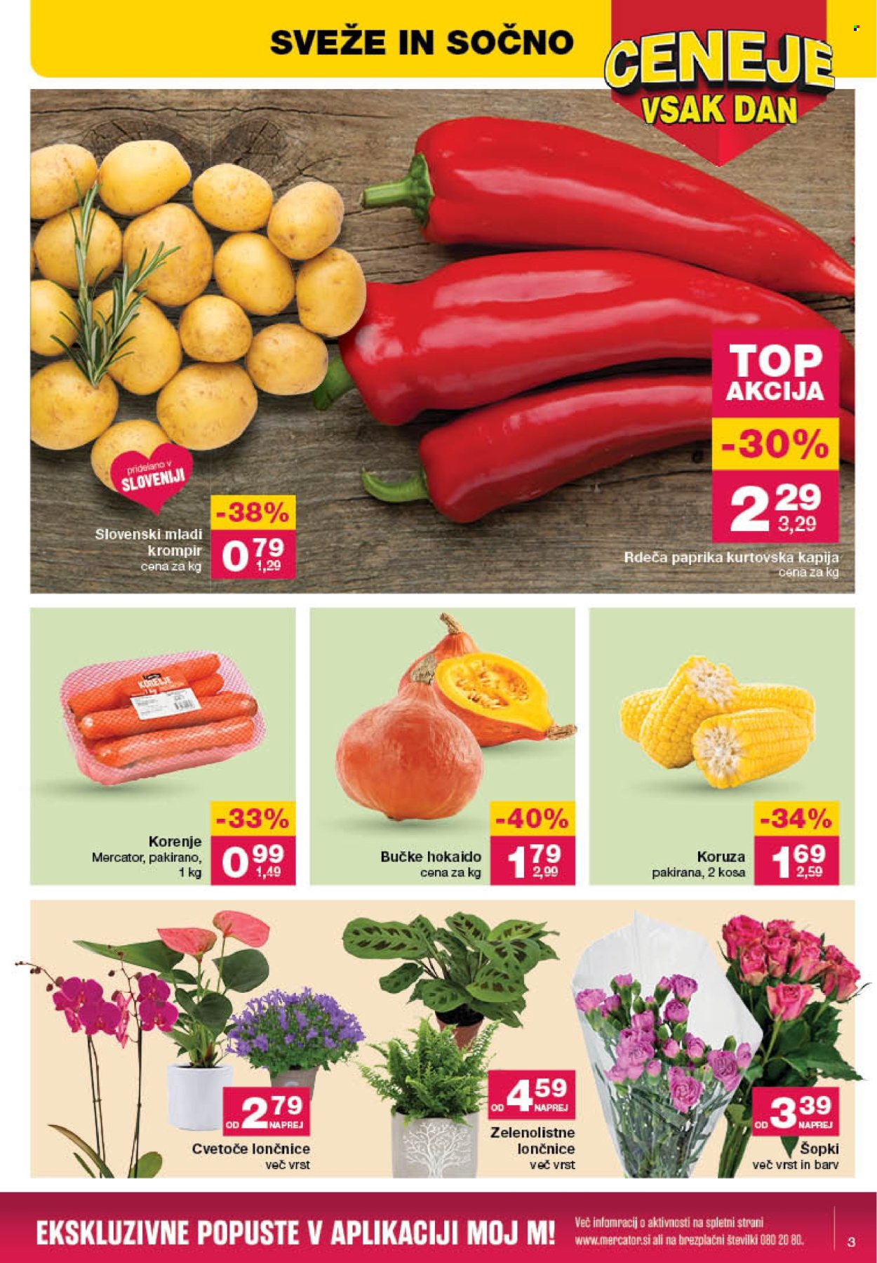 Mercator katalog - 11.7.2024 - 17.7.2024. Stran 3