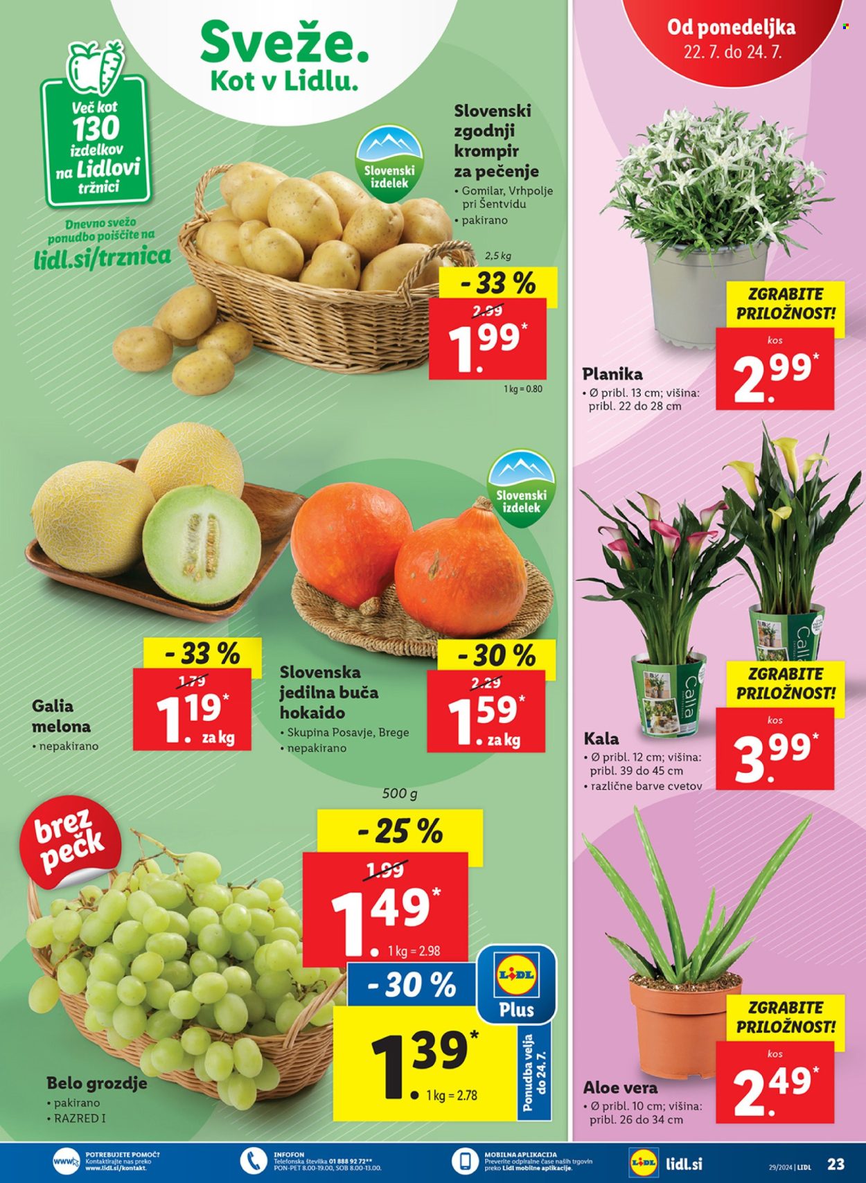 Lidl katalog - 18.7.2024 - 24.7.2024. Stran 39