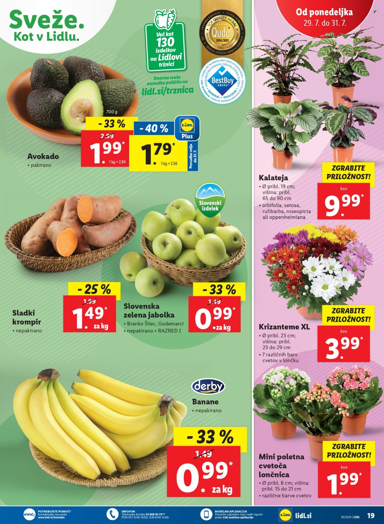 Lidl katalog - 25.7.2024 - 31.7.2024. Stran 43