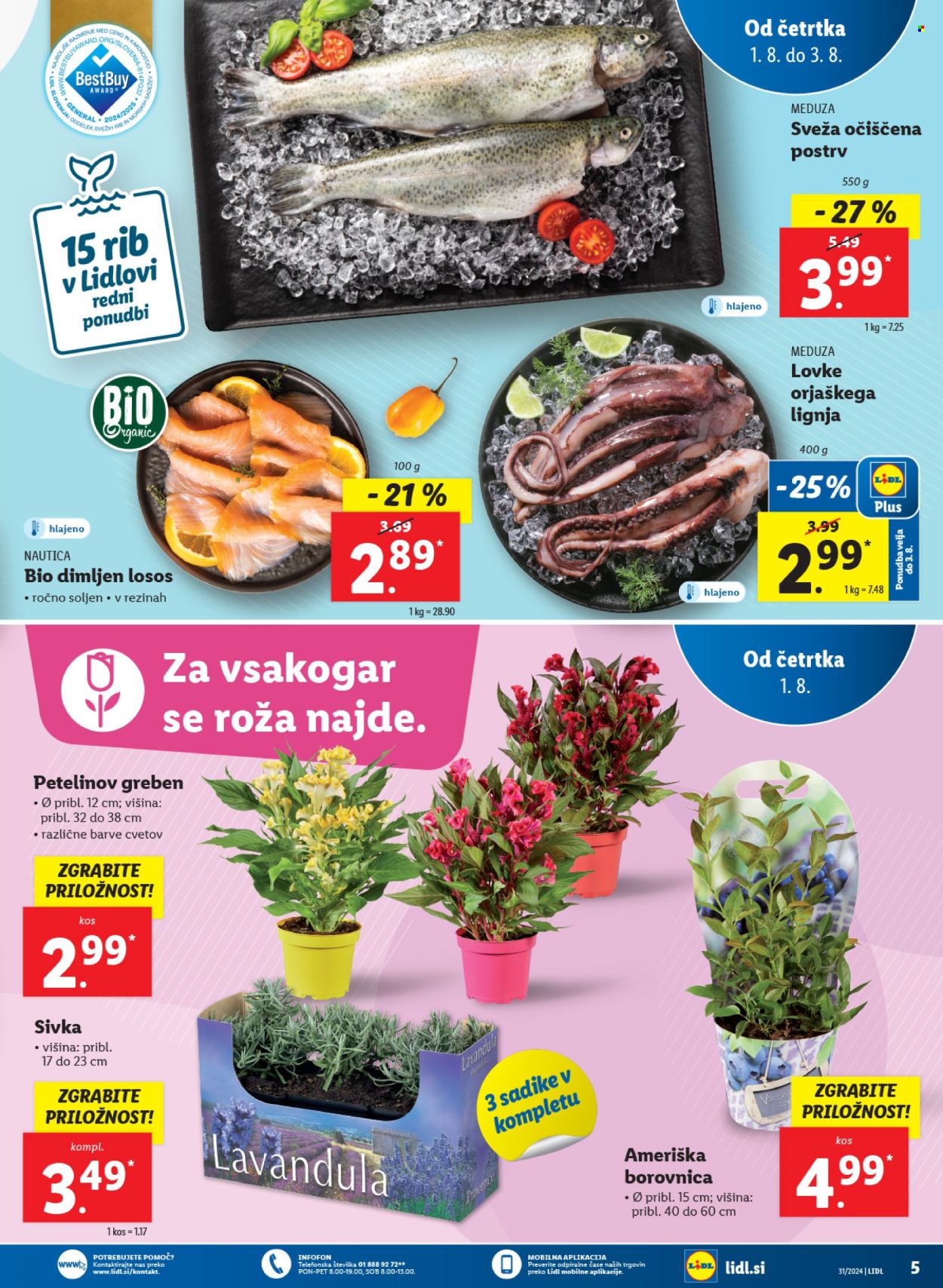 Lidl katalog - 1.8.2024 - 7.8.2024. Stran 5
