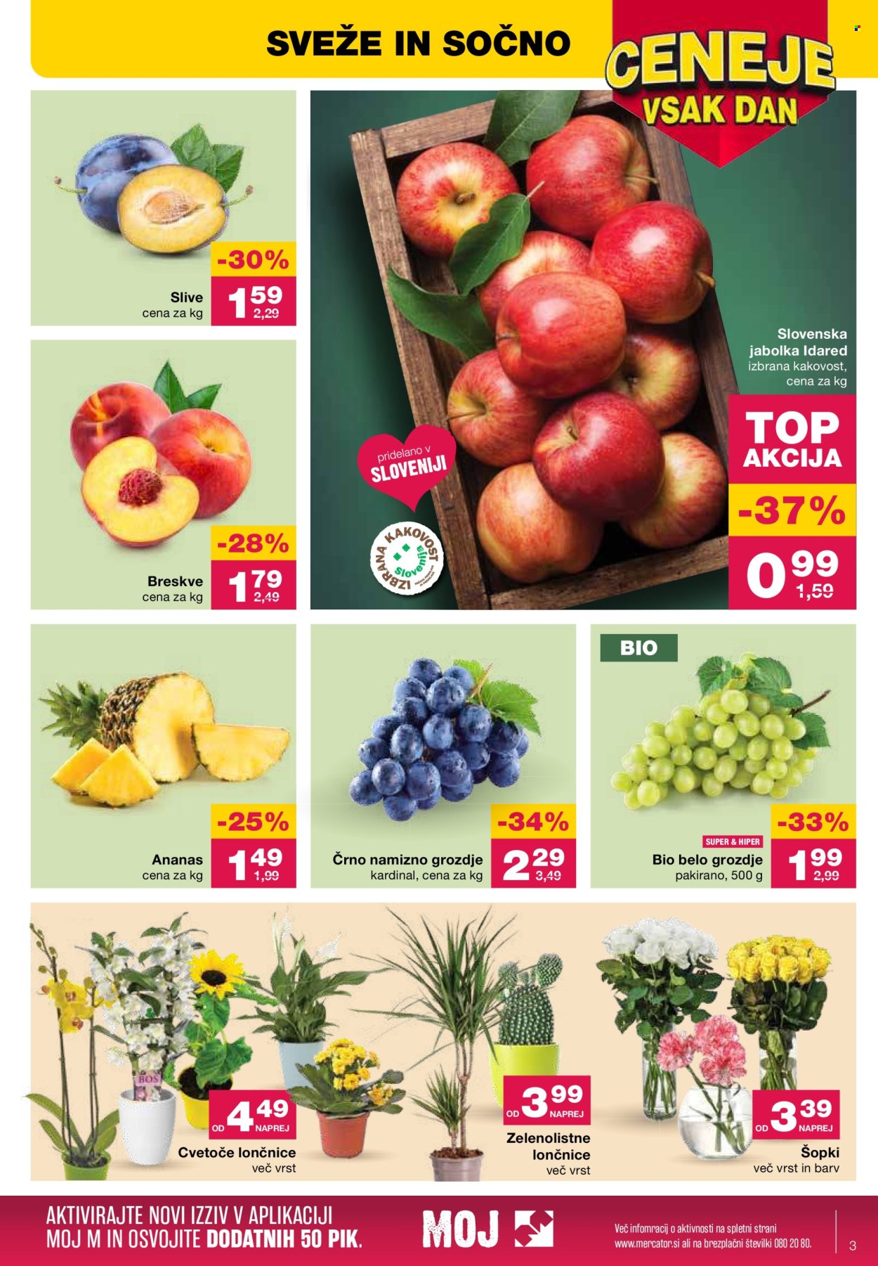 Mercator katalog - 1.8.2024 - 7.8.2024. Stran 3