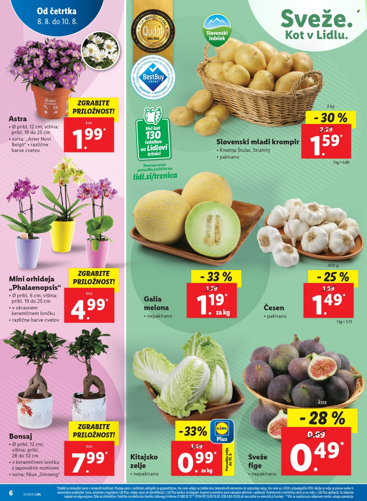 Lidl katalog - 8.8.2024 - 14.8.2024. Stran 12