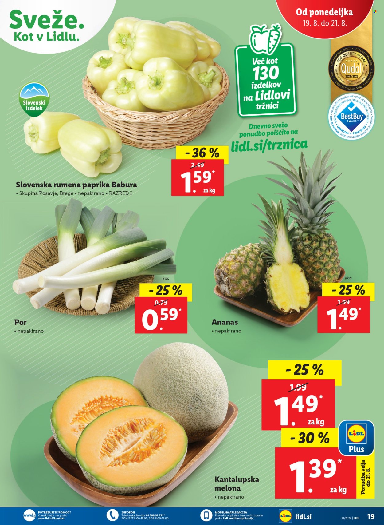 Lidl katalog - 14.8.2024 - 21.8.2024. Stran 33