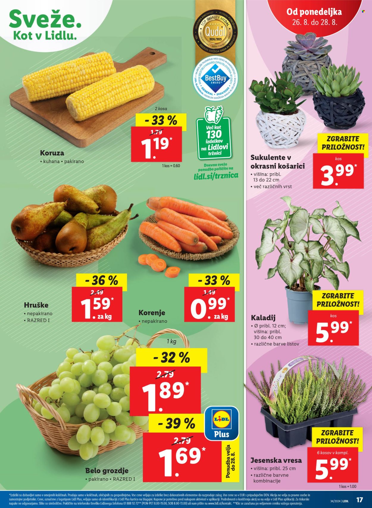Lidl katalog - 22.8.2024 - 28.8.2024. Stran 39