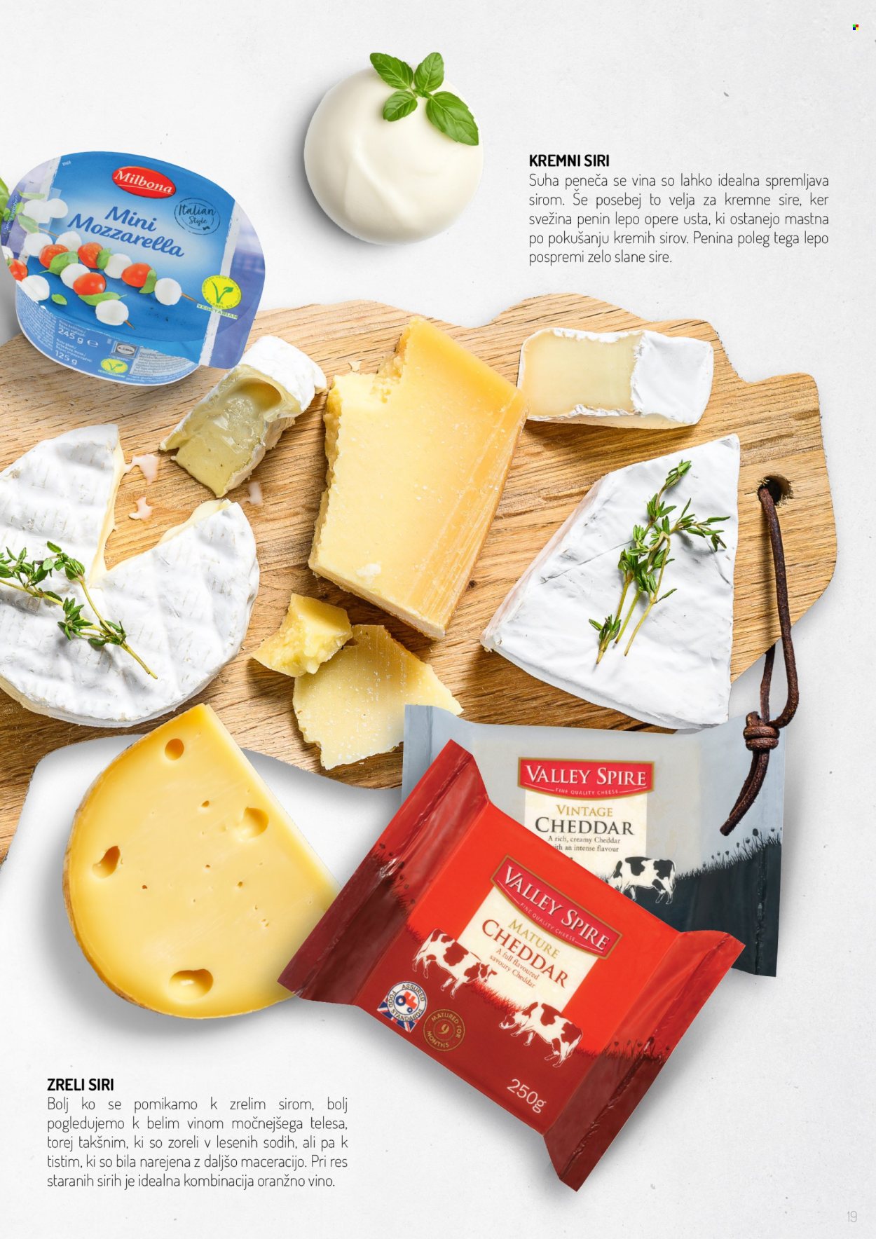 Lidl katalog. Stran 19