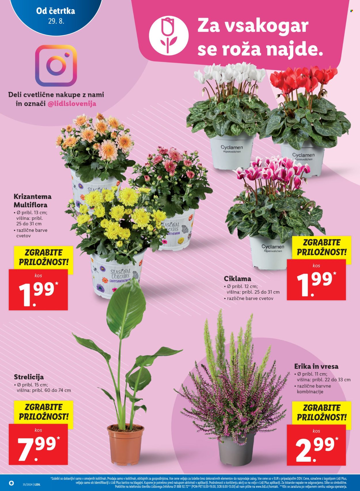 Lidl katalog - 29.8.2024 - 4.9.2024. Stran 12
