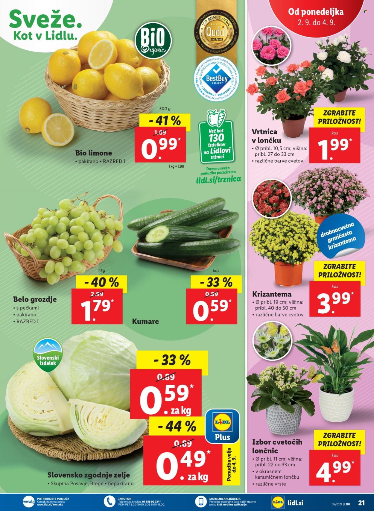 Lidl katalog - 29.8.2024 - 4.9.2024. Stran 41