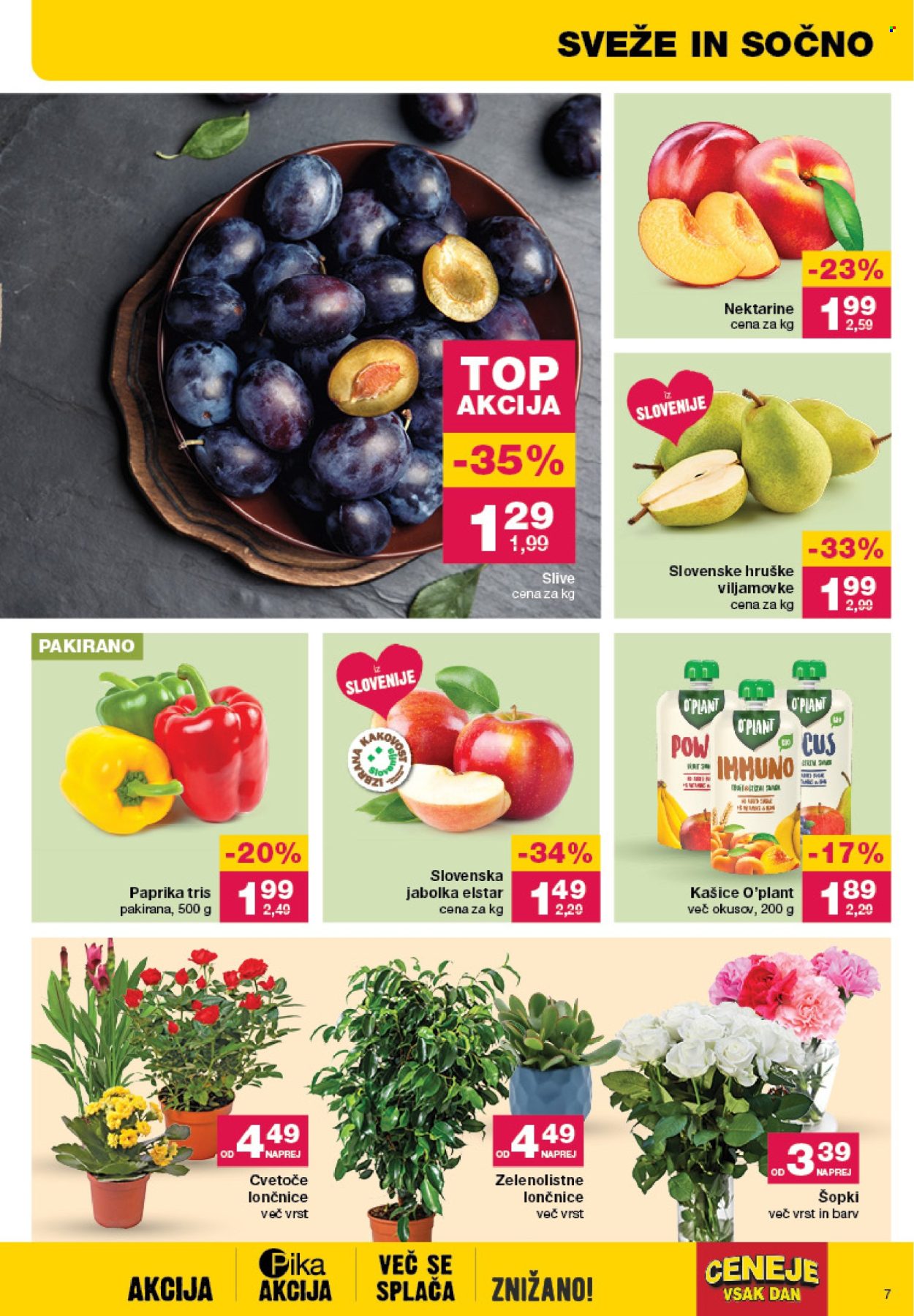 Mercator katalog - 29.8.2024 - 4.9.2024. Stran 7