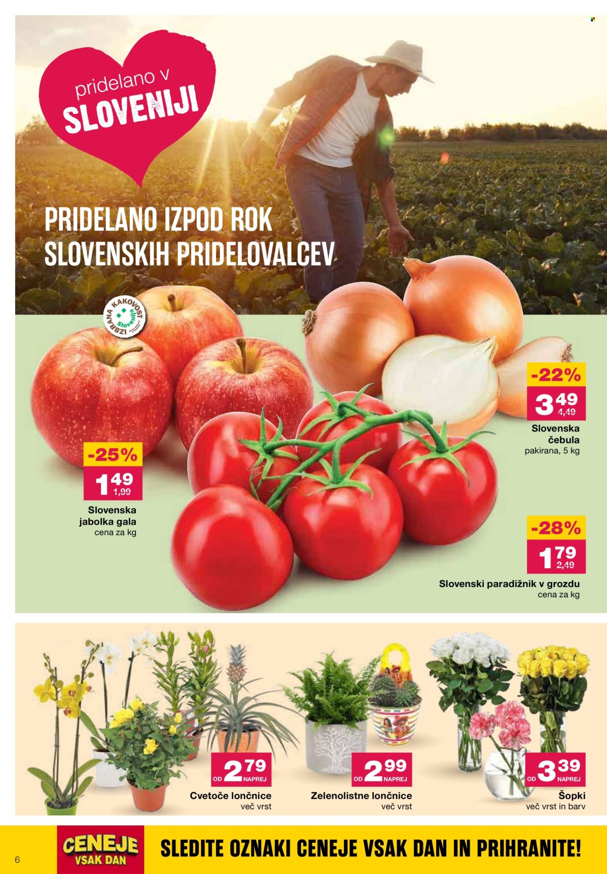 Mercator katalog - 5.9.2024 - 11.9.2024. Stran 6