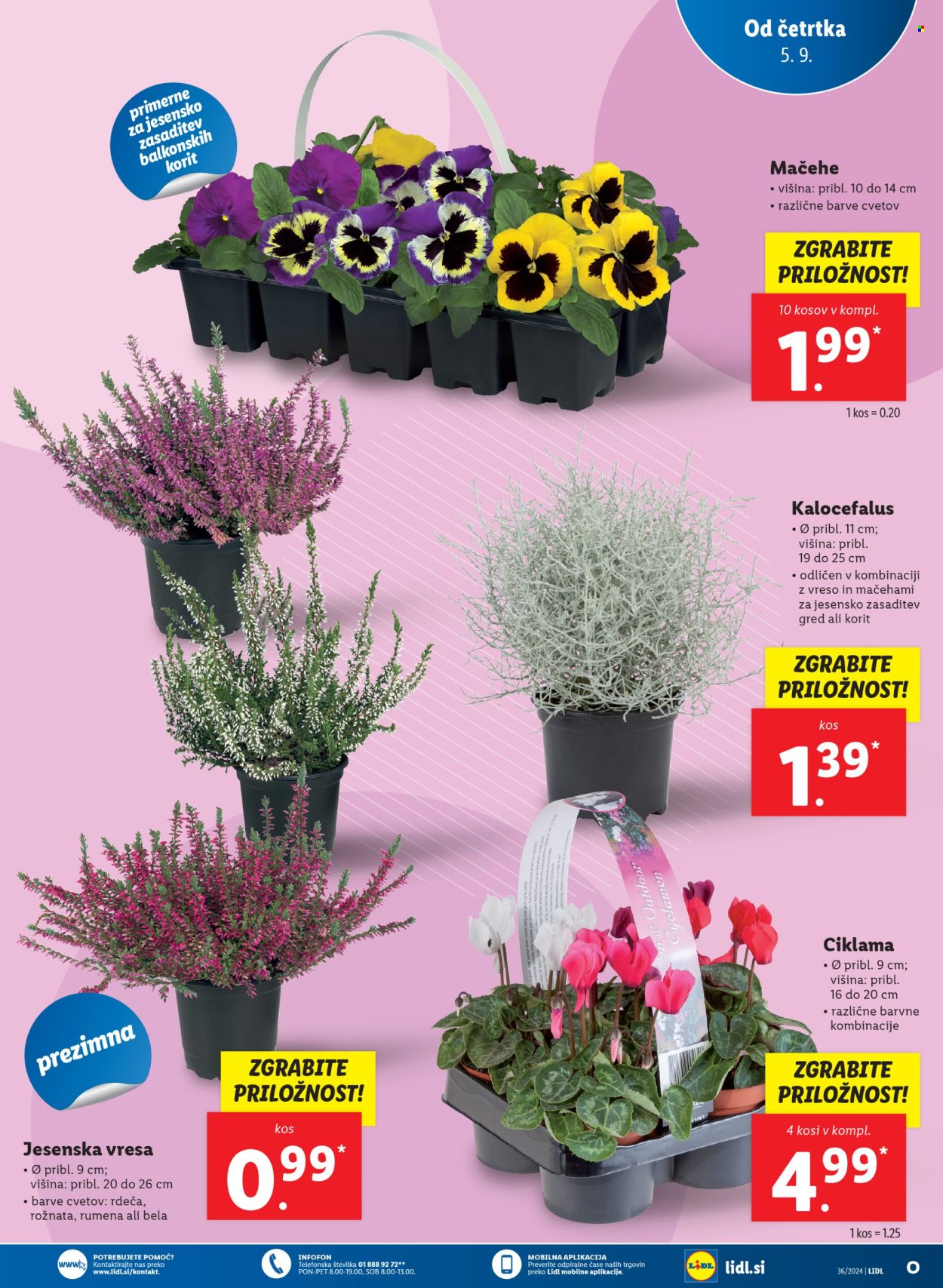 Lidl katalog - 5.9.2024 - 11.9.2024. Stran 9