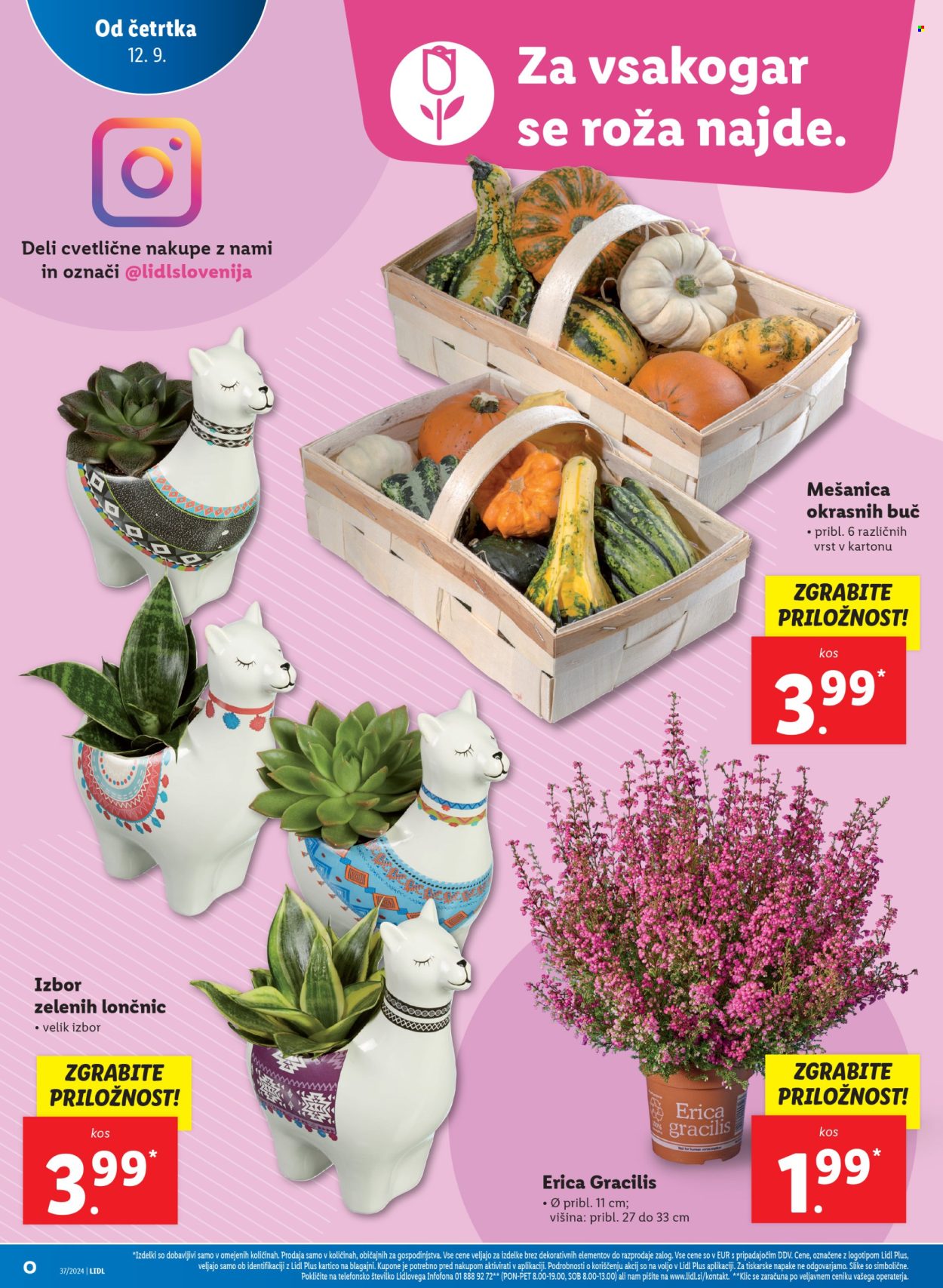 Lidl katalog - 12.9.2024 - 18.9.2024. Stran 6