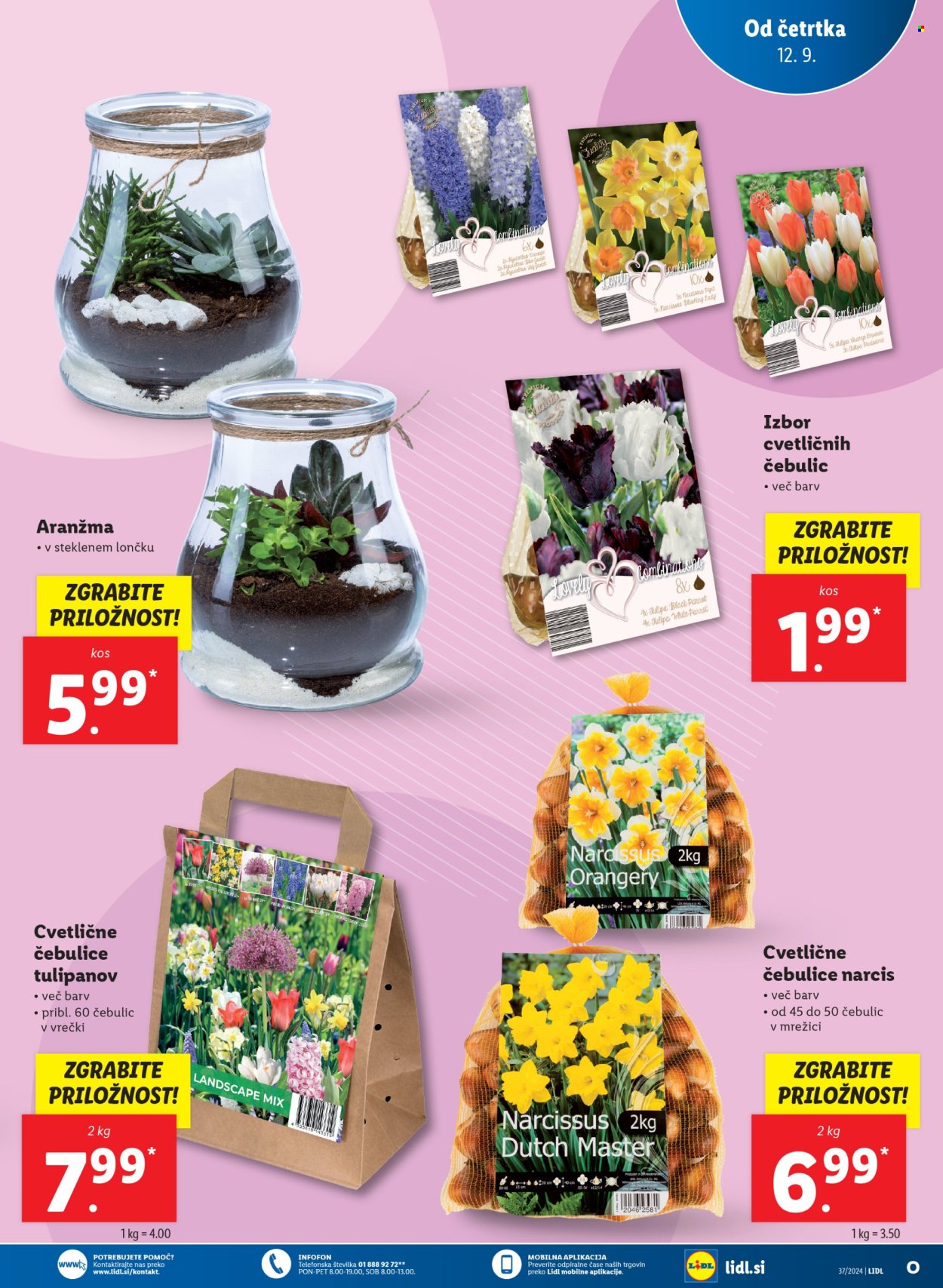 Lidl katalog - 12.9.2024 - 18.9.2024. Stran 7