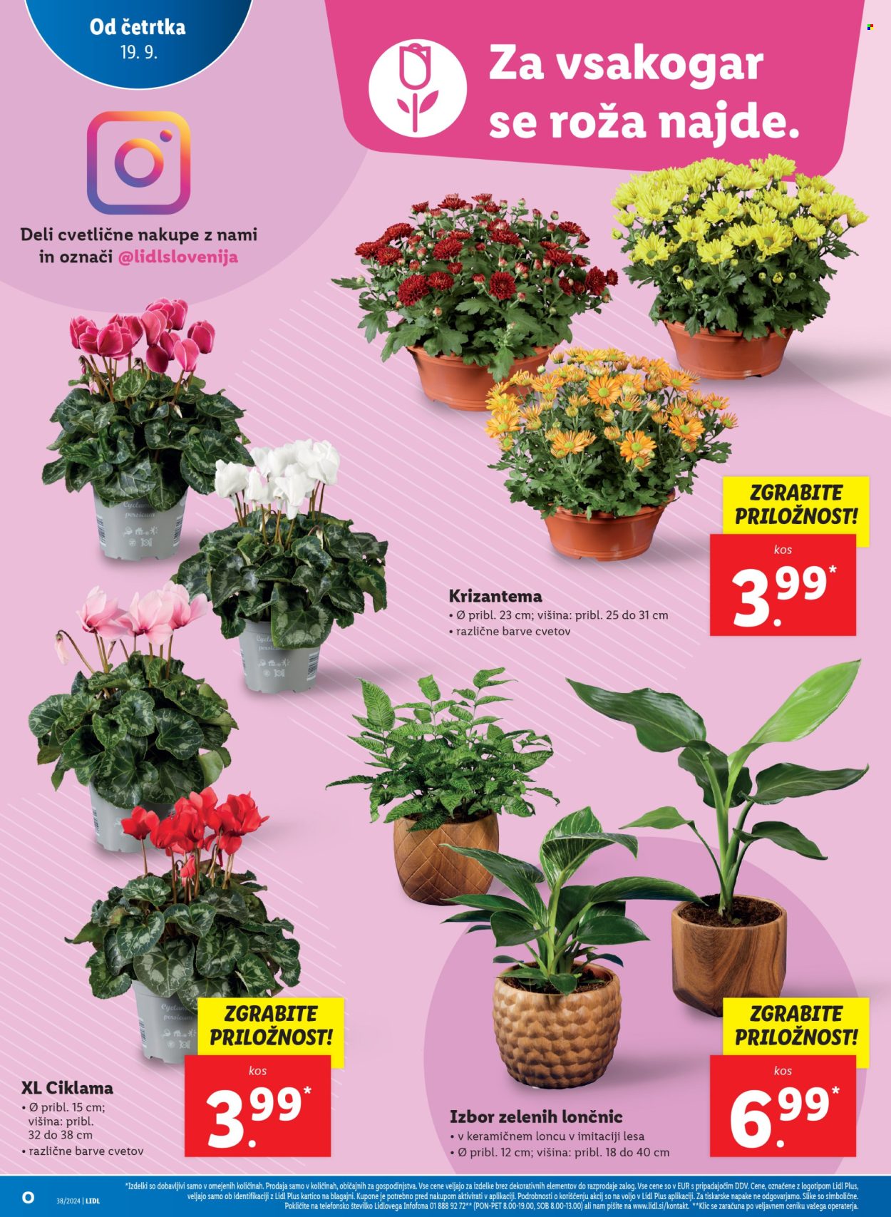 Lidl katalog - 19.9.2024 - 25.9.2024. Stran 14
