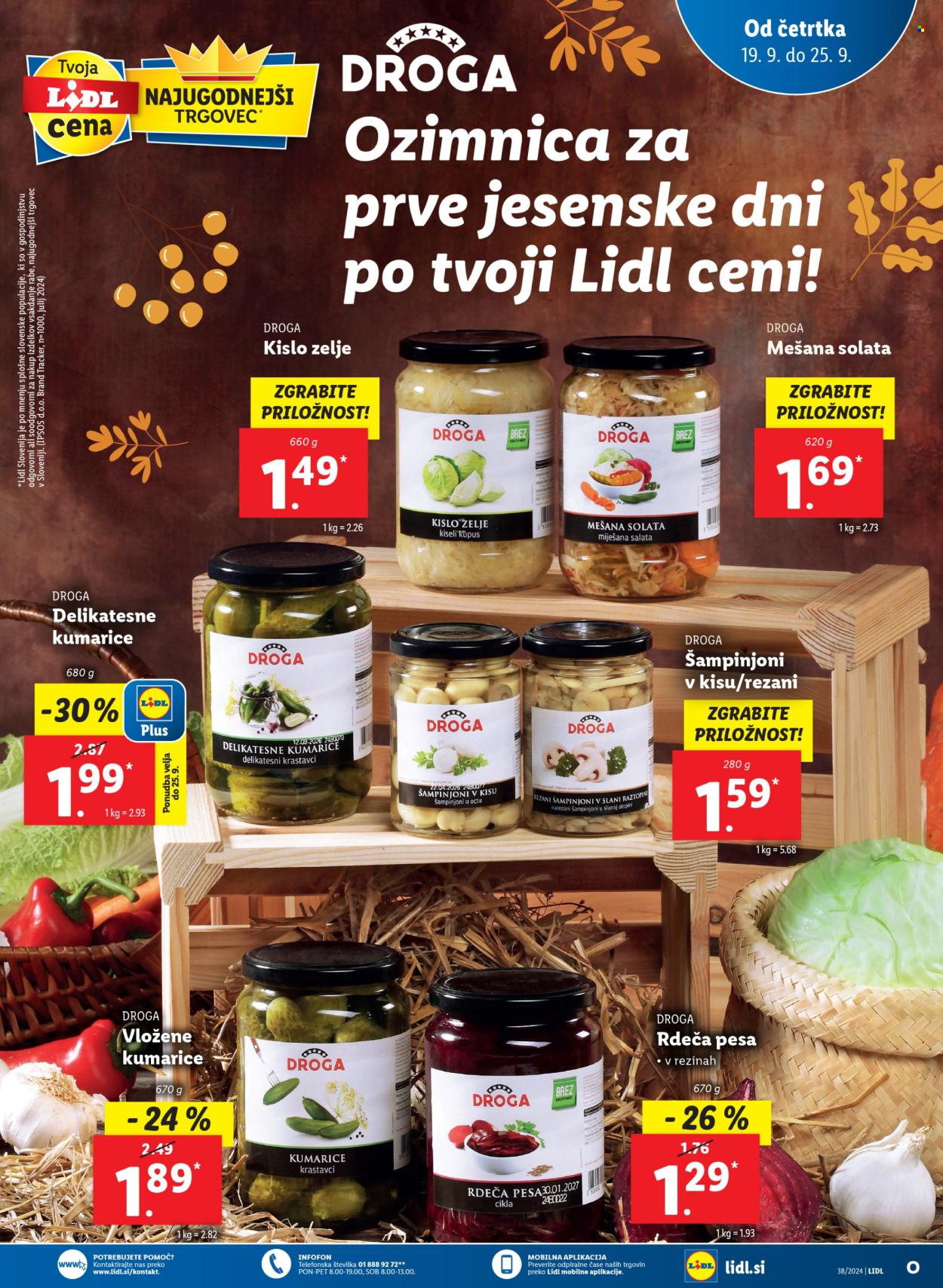 Lidl katalog - 19.9.2024 - 25.9.2024. Stran 21