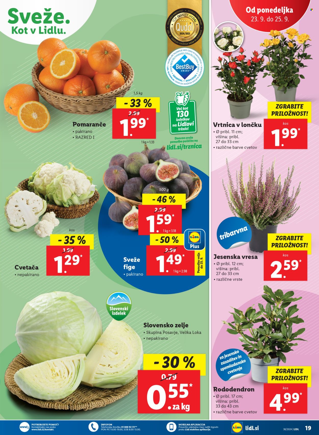 Lidl katalog - 19.9.2024 - 25.9.2024. Stran 39