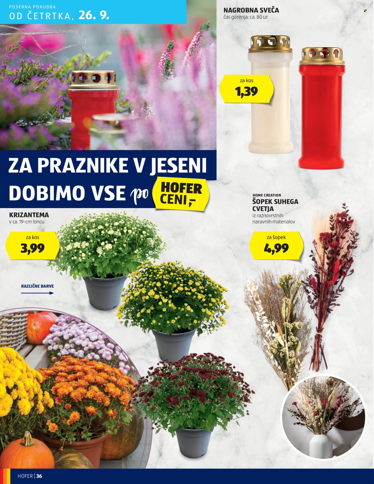 Hofer katalog - 19.9.2024 - 28.9.2024. Stran 36