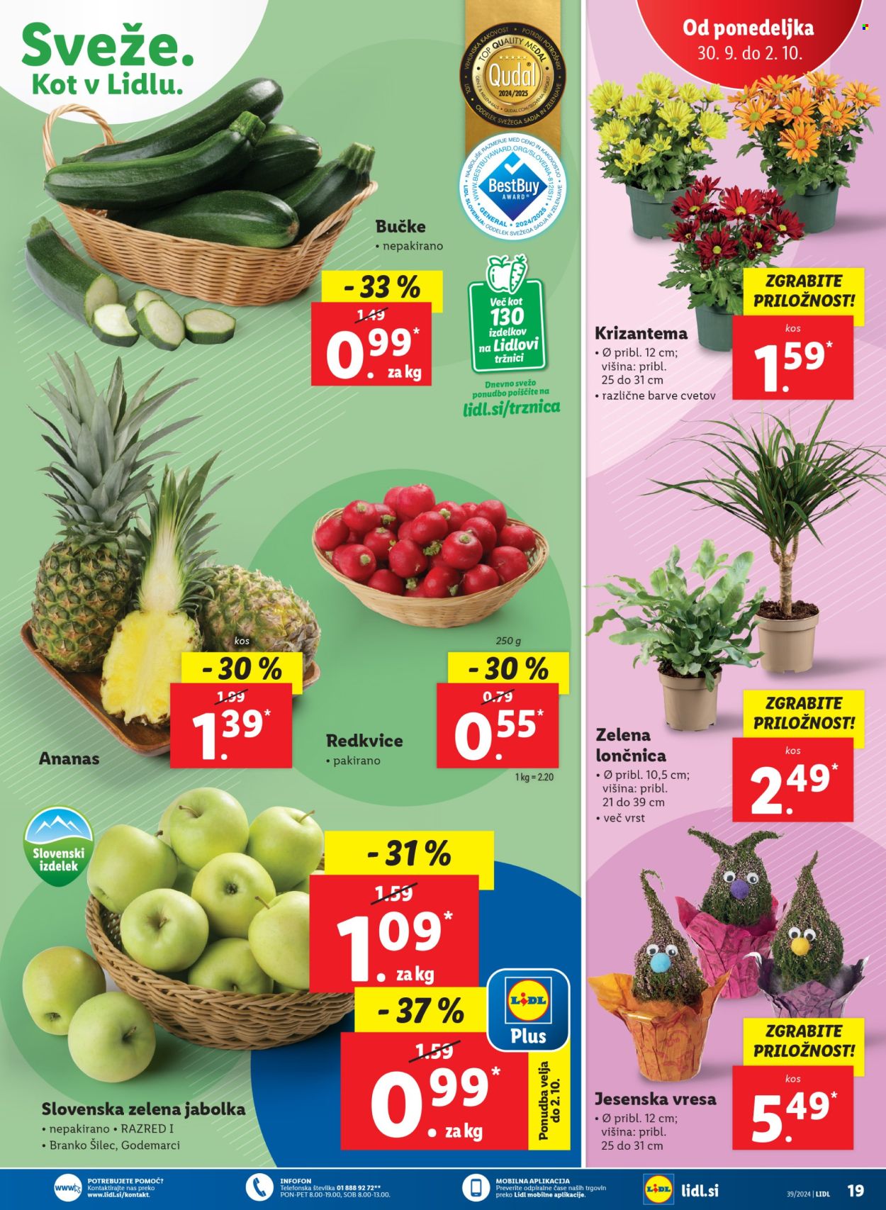 Lidl katalog - 26.9.2024 - 2.10.2024. Stran 39