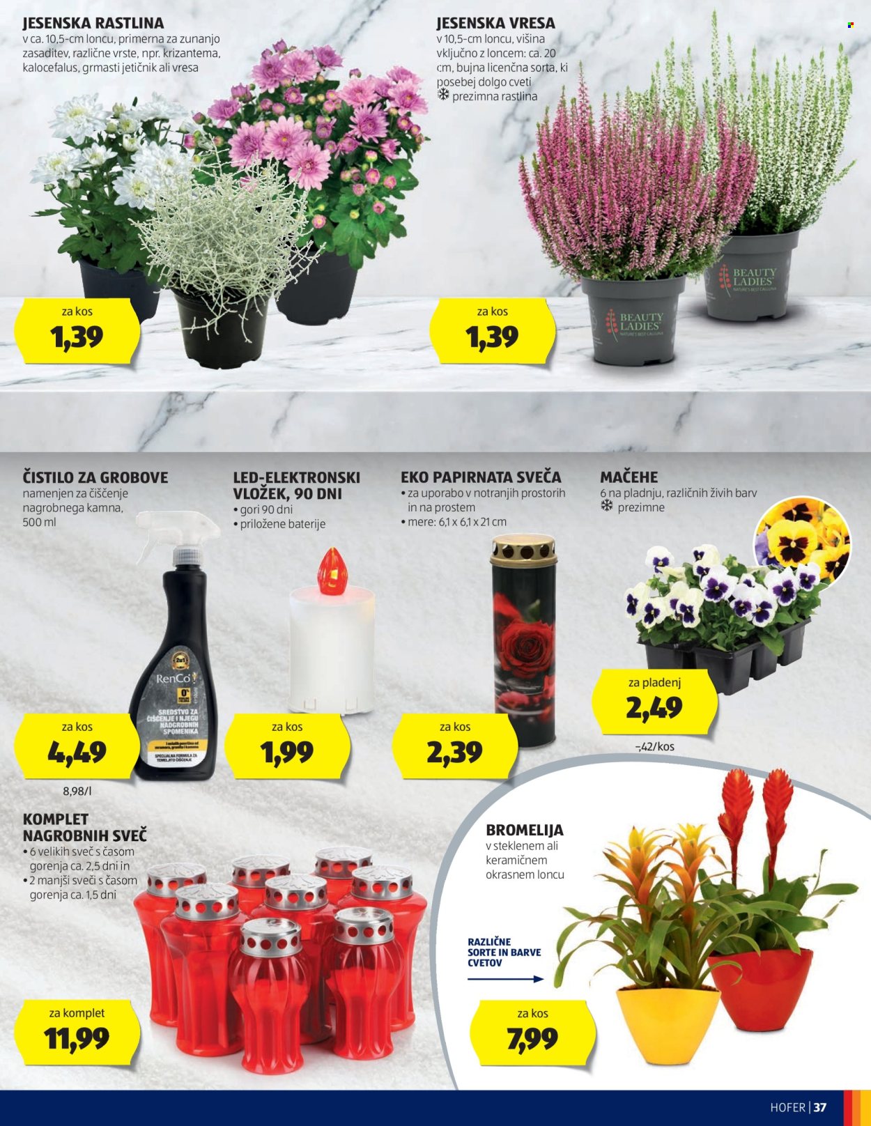 Hofer katalog - 26.9.2024 - 5.10.2024. Stran 37